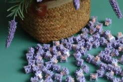 Viola Tricolor L Switch