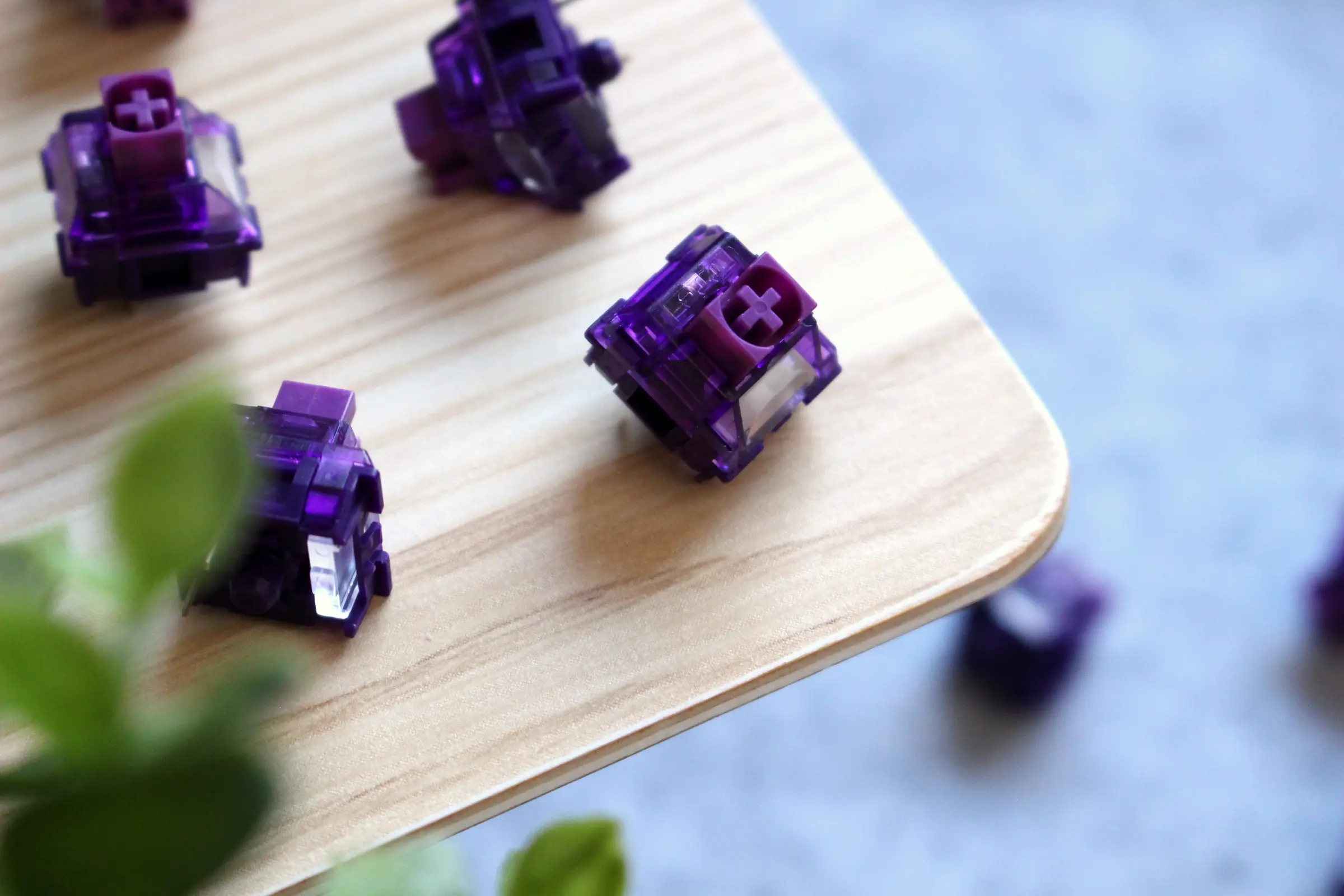 Qwertyqop Store -Qwertyqop Store BK LIFLP42PK Realshots 1 2400 1600