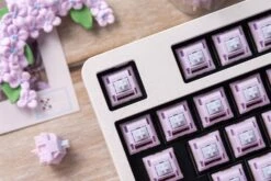 Keygeek Lila V2 Switch -Qwertyqop Store DSC00166