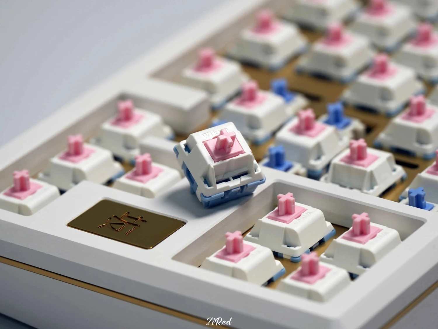 Fuyu Switch 1 Fuyu Switch