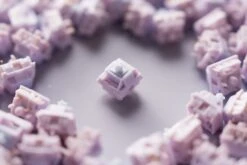 Keygeek Lila V2 Switch