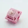 Peach Bloom Switch