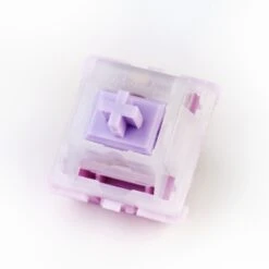 43Studio Popu Switch