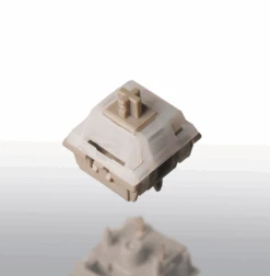 SW X Keygeek Tori Switch