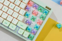 BSUN Macaron Switch -Qwertyqop Store Se3b10b47814140028f9e2b379d619ef6D