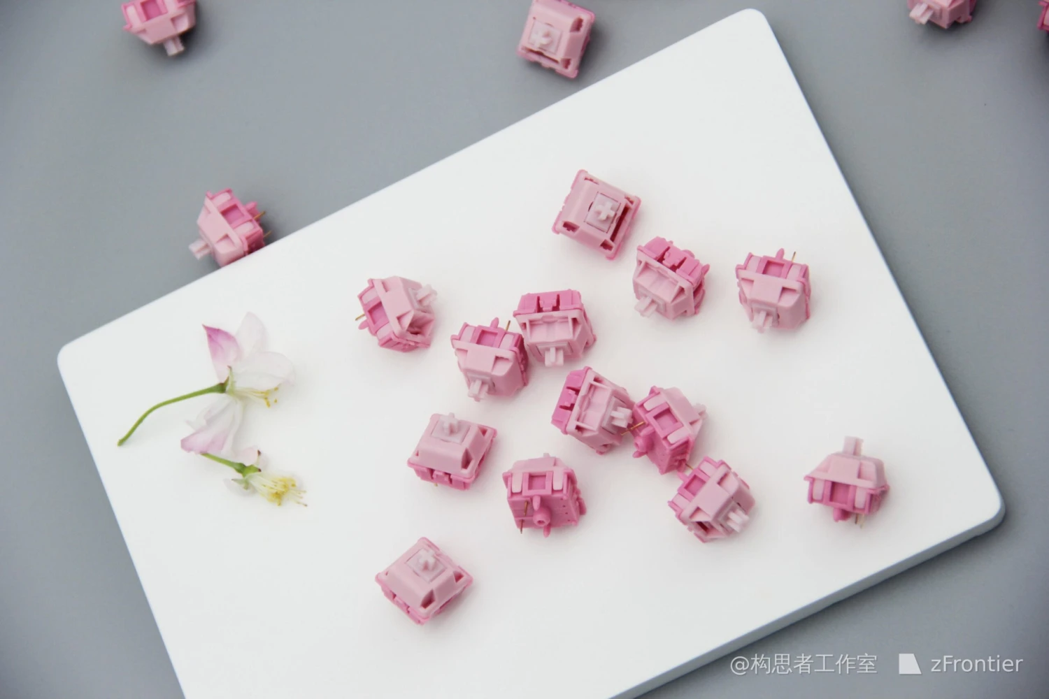 Peach Bloom Switch 2 Peach Bloom Switch - Image 2