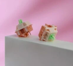 BSUN Aniya R2 Switch