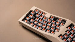 Salmon Reborn Switch