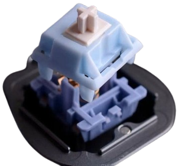 Qwertyqop Store -Qwertyqop Store z7215284828543 4405f697912ba67d3ed841bef166ce15 removebg preview